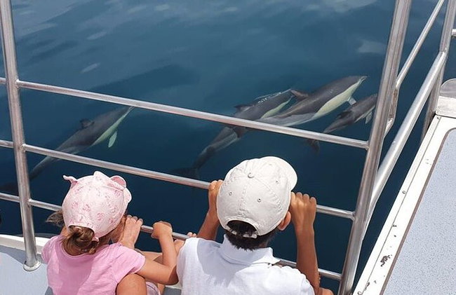 Von Lagos : Familienweg - Delfinbeobachtungsfahrt auf einem Katamaran - Foto 6