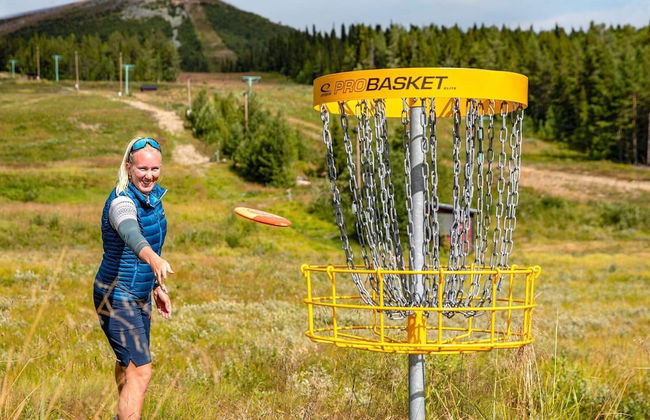 8 Person Holiday Home in Lofsdalen - Foto 12