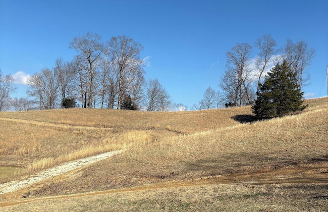 Newly Listed-Private 25-Acre Escape Near Red River Gorge - Foto 59