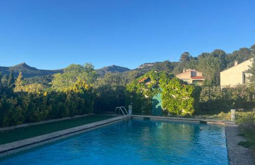 Charmant T2 calme , climatisé et piscine privée - Foto 4