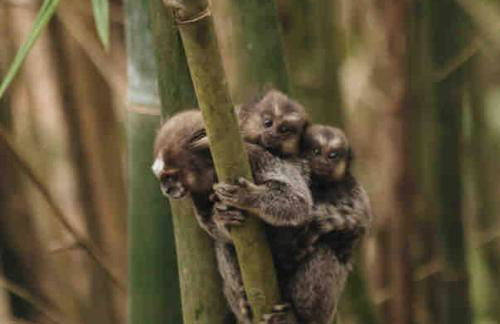 Casa Mundo Buzios - Foto 54