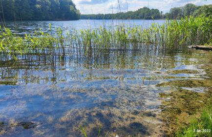 Piotiwo D1 - Foto 21