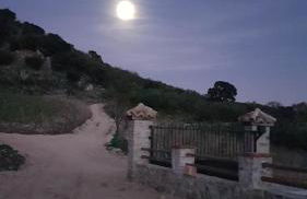 cortijo la laguna - Foto 33