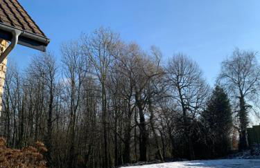 Les Hortensias, charmante petite maison en pierre - Foto 29
