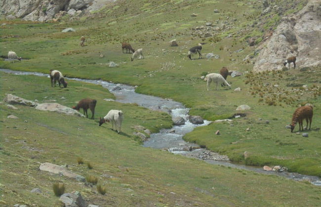 Trekking alle lagune del Khari Khari - Foto 6