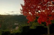 La Marzagrappola - Foto 28