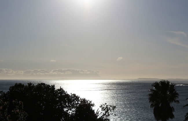 Die Braaihuis - Foto 30