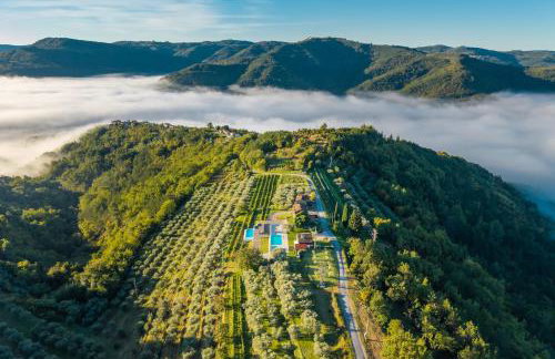 Casa Mille Olivi 2 - House with Private Pool & Lake View near Motovun - Photo 2