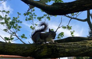 Come a casa - Just like at home Milano - Foto 36