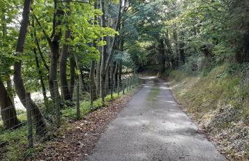 Henblas Holiday Cottages - Photo 26