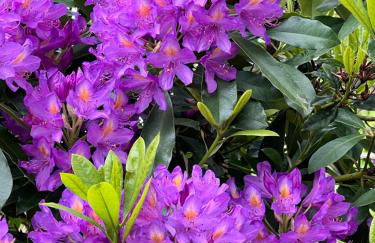 Chalet de l'Ailly - Foto 22