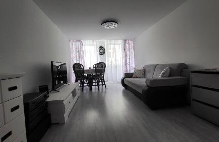 Apartament w Lubomierzu - Foto 4