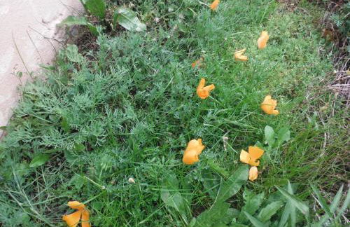 Appartement Le Romarin - Foto 22