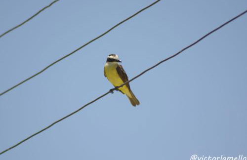 A Casinha Lumiar - Foto 44