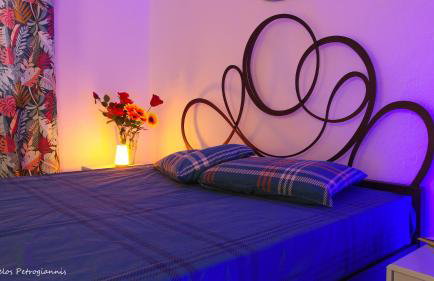 Garden house - Photo 8