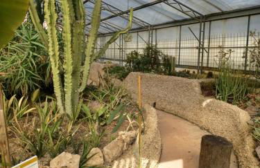 Il bosco sul Tevere Guest house - Foto 35