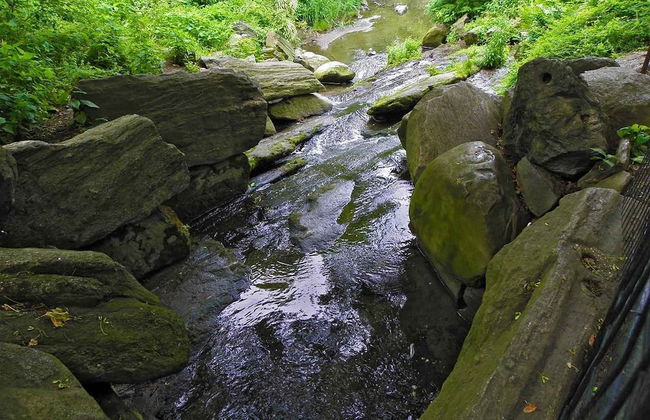 East Village Hotel - Foto 45