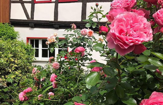 Gesindehaus Börnecke - Foto 25