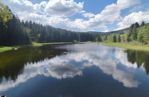 Blackforest Perla - Foto 25