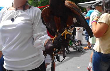 Casa Rural Las Barricas - Foto 49