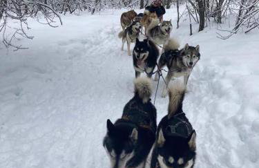 Les sybelles - Photo 5