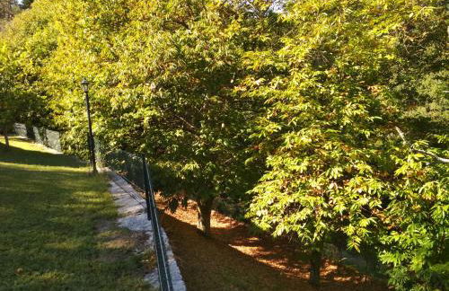 Casa Rustica Isabel VT PO 00166 - Foto 38