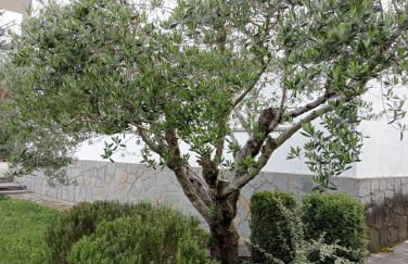 Apartamento-Casa turística l'Espígol - Foto 21