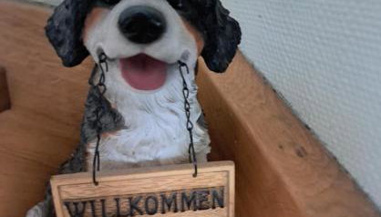 Pension Andrea - Photo 3