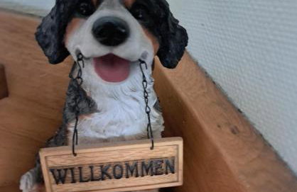 Pension Andrea - Photo 3