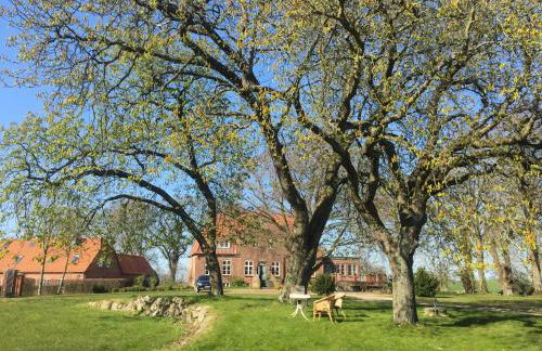 Gutshof Rothensande - Foto 34