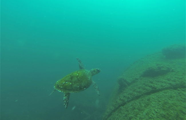 Sítio Rodamonte - Foto 38