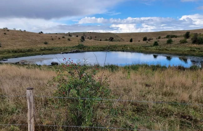 6 Person Holiday Home in Martofte - Foto 53