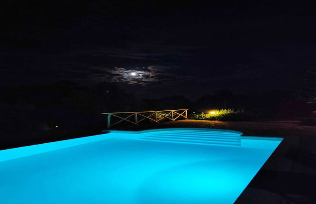 Chalet In Enchanted Forest Private Pool - Photo 9