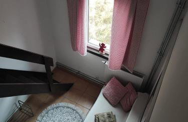 Siedlisko na łące - Foto 40