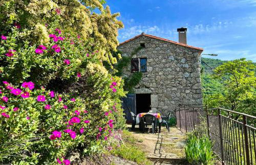 Maison charmante à Valleraugue avec piscine partagée. - Foto 1