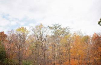 Tiny House Strouds Run Lake - Foto 29