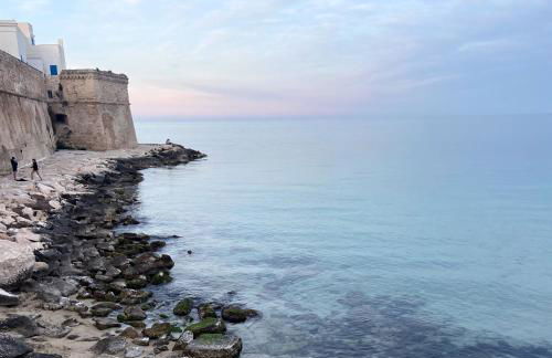 White House - Foto 28