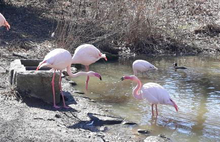 HummelCasa Ferienhaus Bayreuth - Foto 65