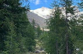 Petit Bijou - Corbet - Monolocale con divano letto in soggiorno - Massimo 3 persone - Foto 28