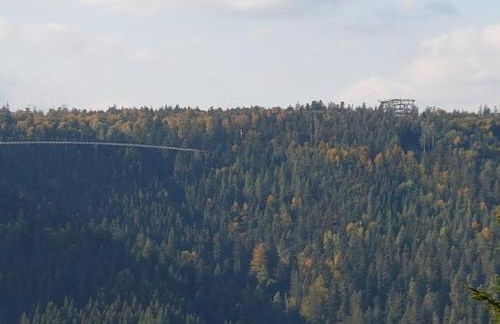 Stürmlesloch - Foto 17