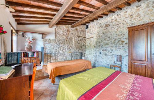 Tulipano - Agriturismo Fogliani - Foto 7