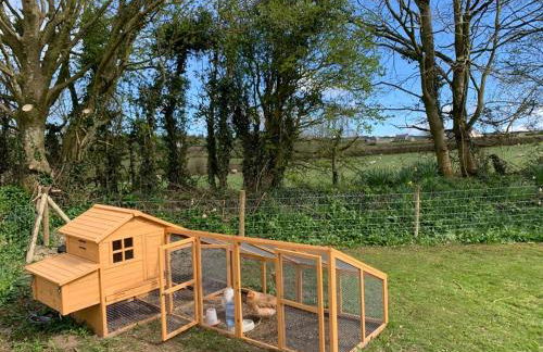 Canllefaes Cottages - Foto 63