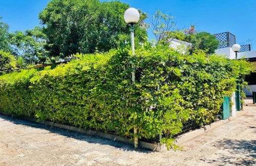 Villa Indipendente Torre Inserraglio - Salento - Foto 26