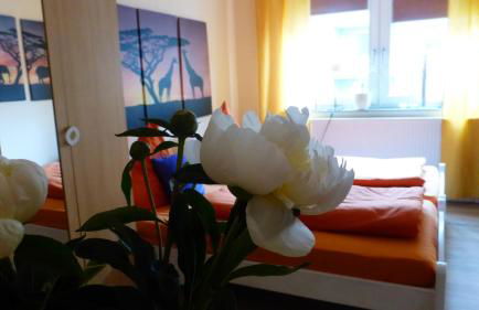 Kleines Studio Seefalke - Foto 11