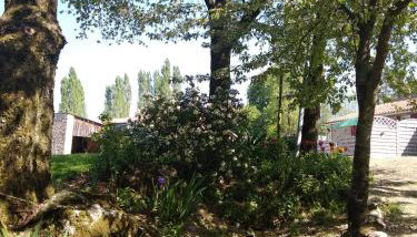 le jouc - Photo 2, Garden view