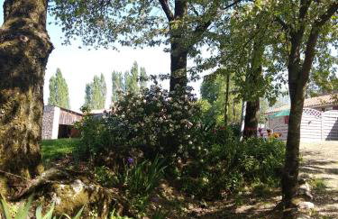 le jouc - Foto 2