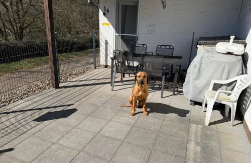 Ferienhaus Stausee Bitburg - Foto 18