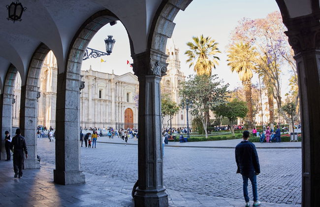 La terraza del Portal - Foto 20