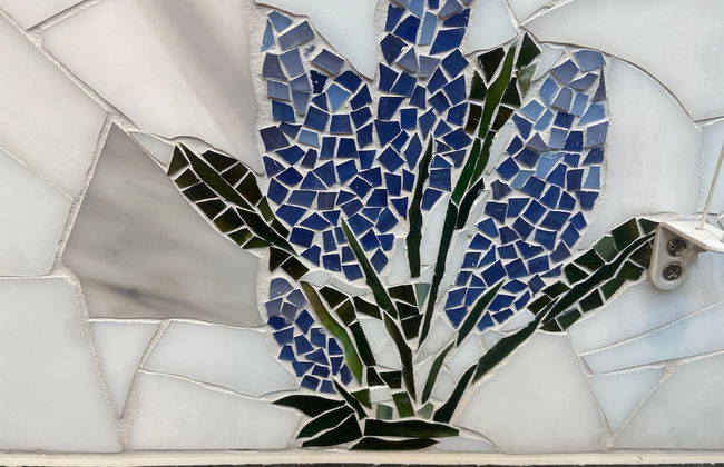 Creekside Fern in Pisgah Forest - Foto 37