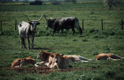 Agriturismo I Grappoli - Foto 25